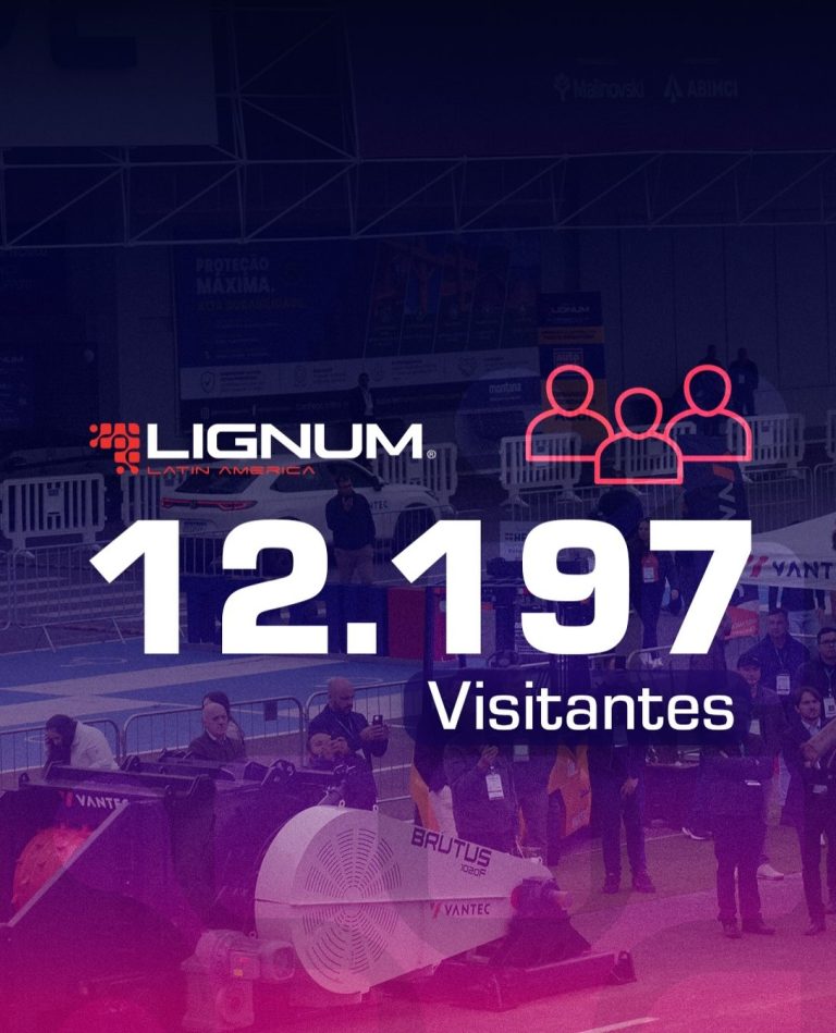 lignum2