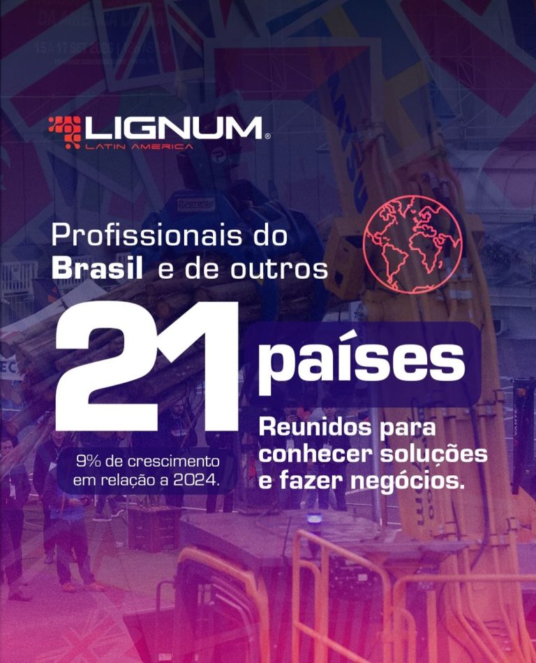 lignum3